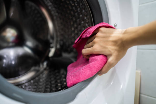 Best Mold Damage Restoration  in Melvindale, MI