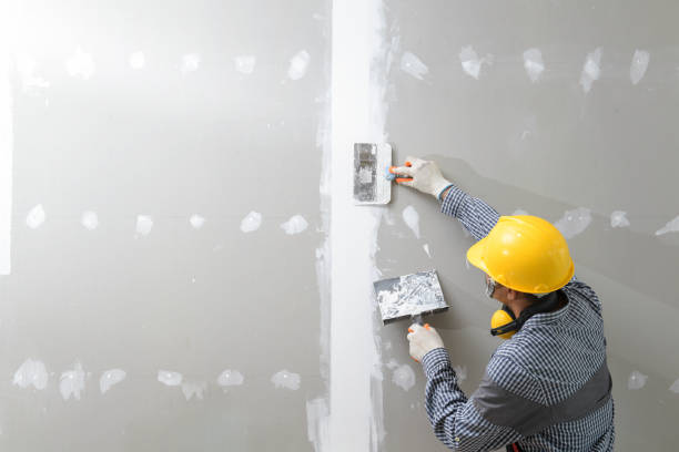 Best Air Quality Testing for Mold Spores  in Melvindale, MI