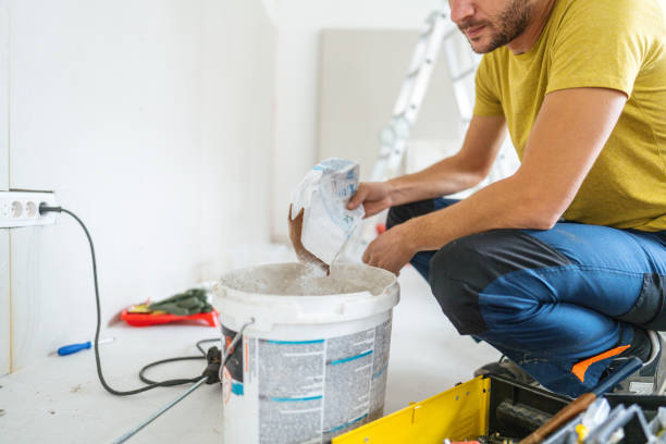 Best Post-Construction Mold Inspection  in Melvindale, MI