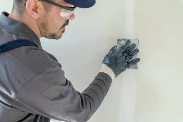 Best Post-Remediation Verification Testing  in Melvindale, MI