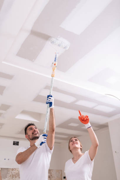 Best Industrial Mold Remediation  in Melvindale, MI