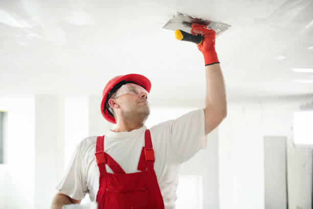 Trusted Melvindale, MI Mold Removal Experts