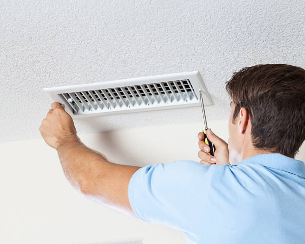 Forensic Mold Investigation in Melvindale, MI