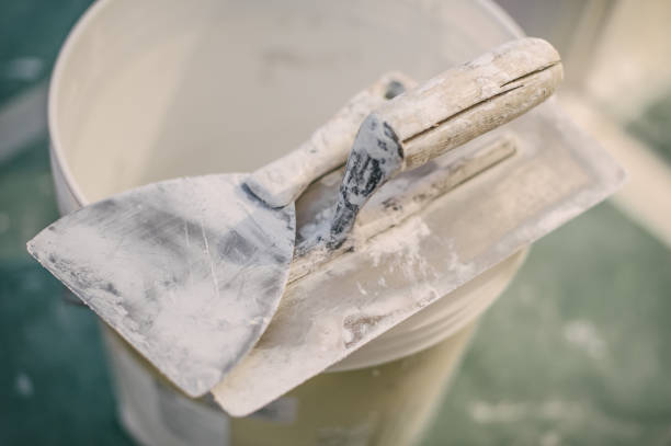 Best Forensic Mold Investigation  in Melvindale, MI